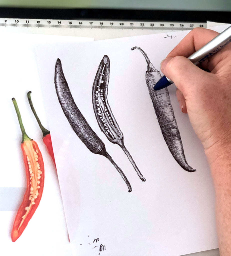 Drawing and design of Chilli and Spices chocolate packaging for Tamworth based small business Deva Cacao, designed by Coffs Harbour artist Alyson Pearson from her studio Alykat Creative.