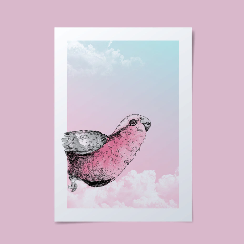 Simple and playful illustration of a pink galah peeking it's head around the corner.