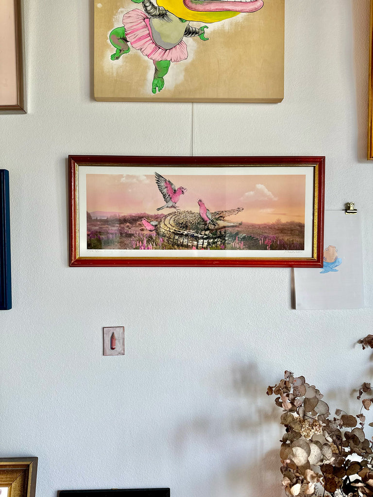 Framed artwork of galahs playing with a crocodile