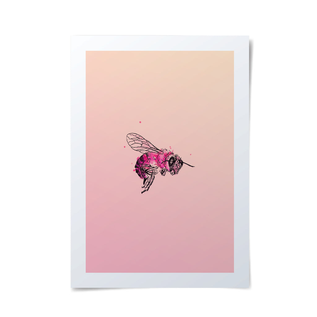 Beautifully simple bee illustration with pink background