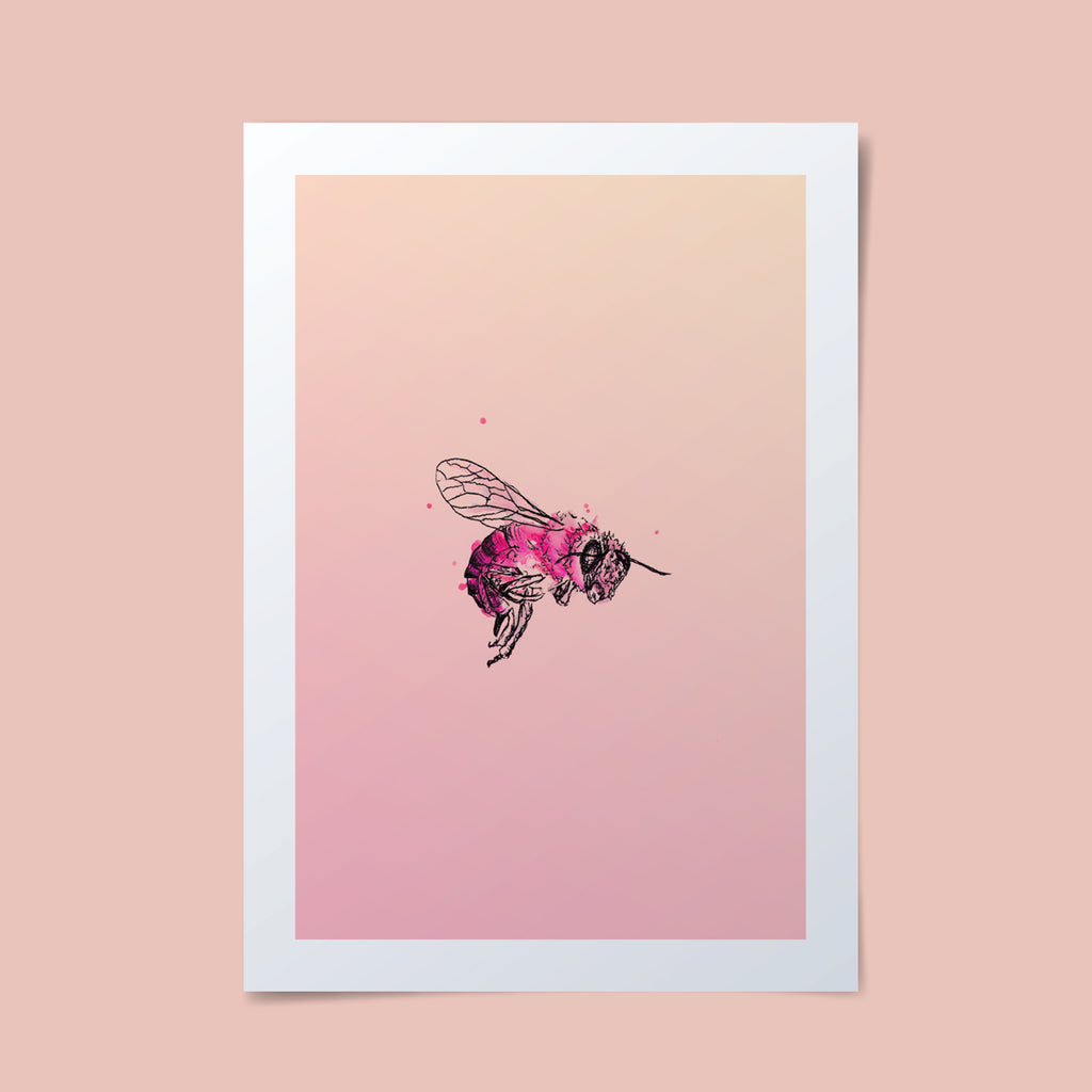 Beautifully simple bee illustration with pink background