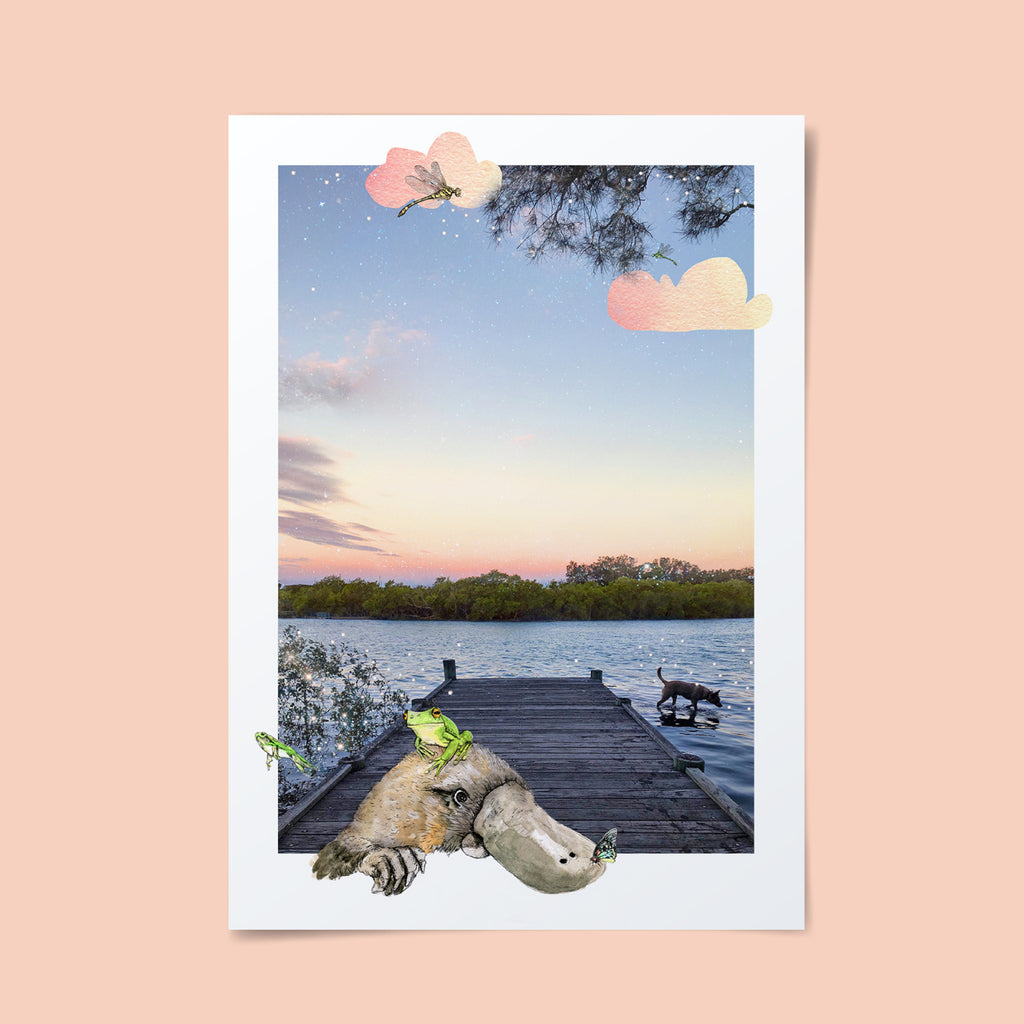 Platypus illustration layered upon a sunset backdrop at the Coffs Creek waterway with artists dog, Roo.