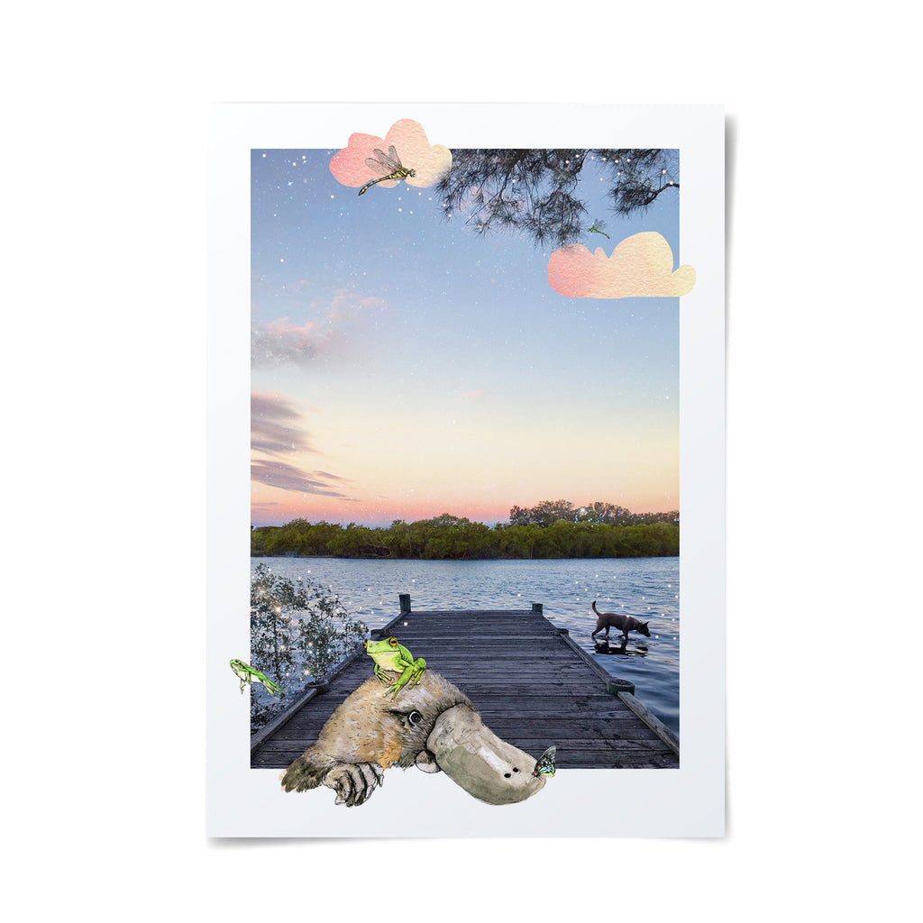 Platypus illustration layered upon a sunset backdrop at the Coffs Creek waterway with artists dog, Roo.