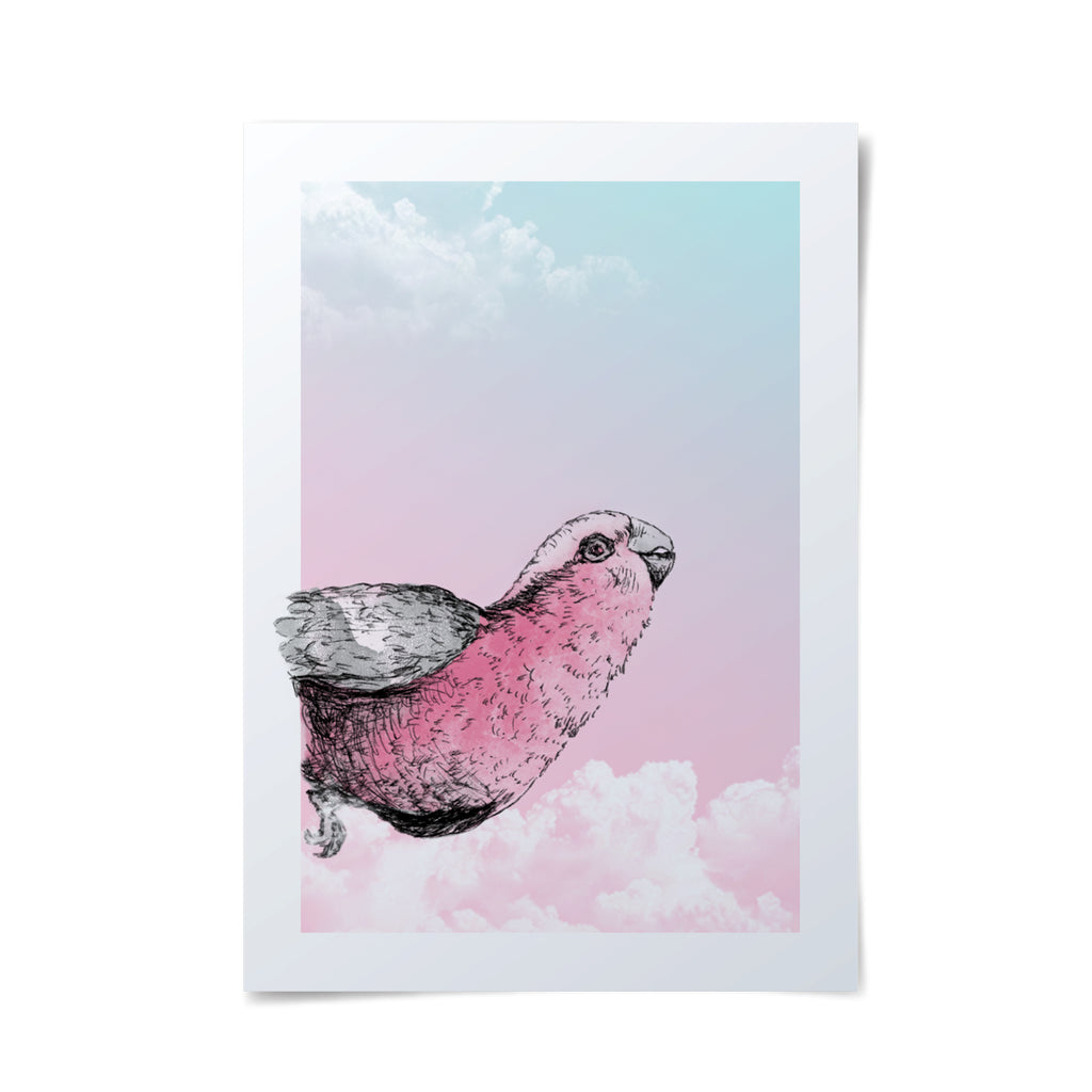 Simple and playful illustration of a pink galah peeking it's head around the corner.