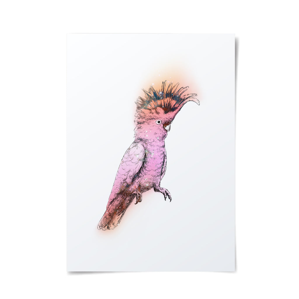 Detailed hand drawn illustration of a pink cockatoo with an intagalactic overlay. 