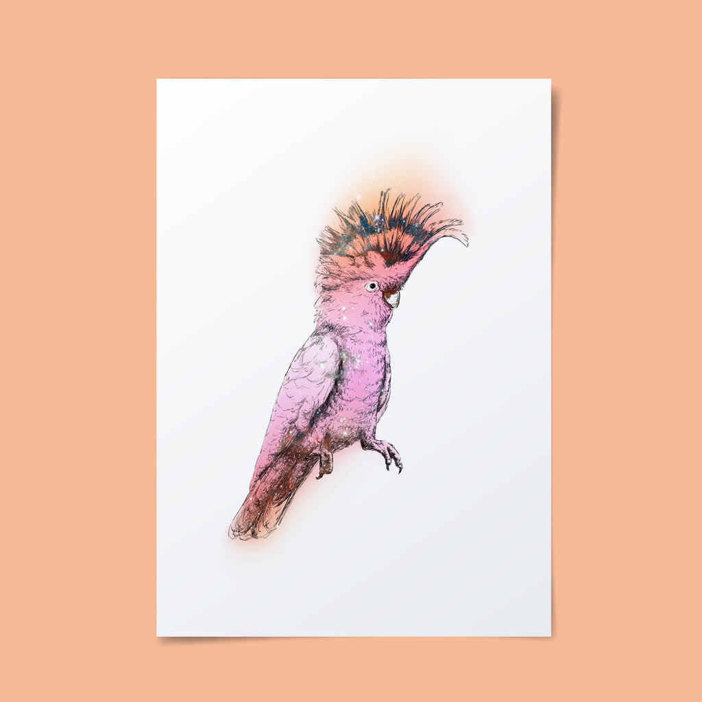 Detailed hand drawn illustration of a pink cockatoo with an intagalactic overlay. 