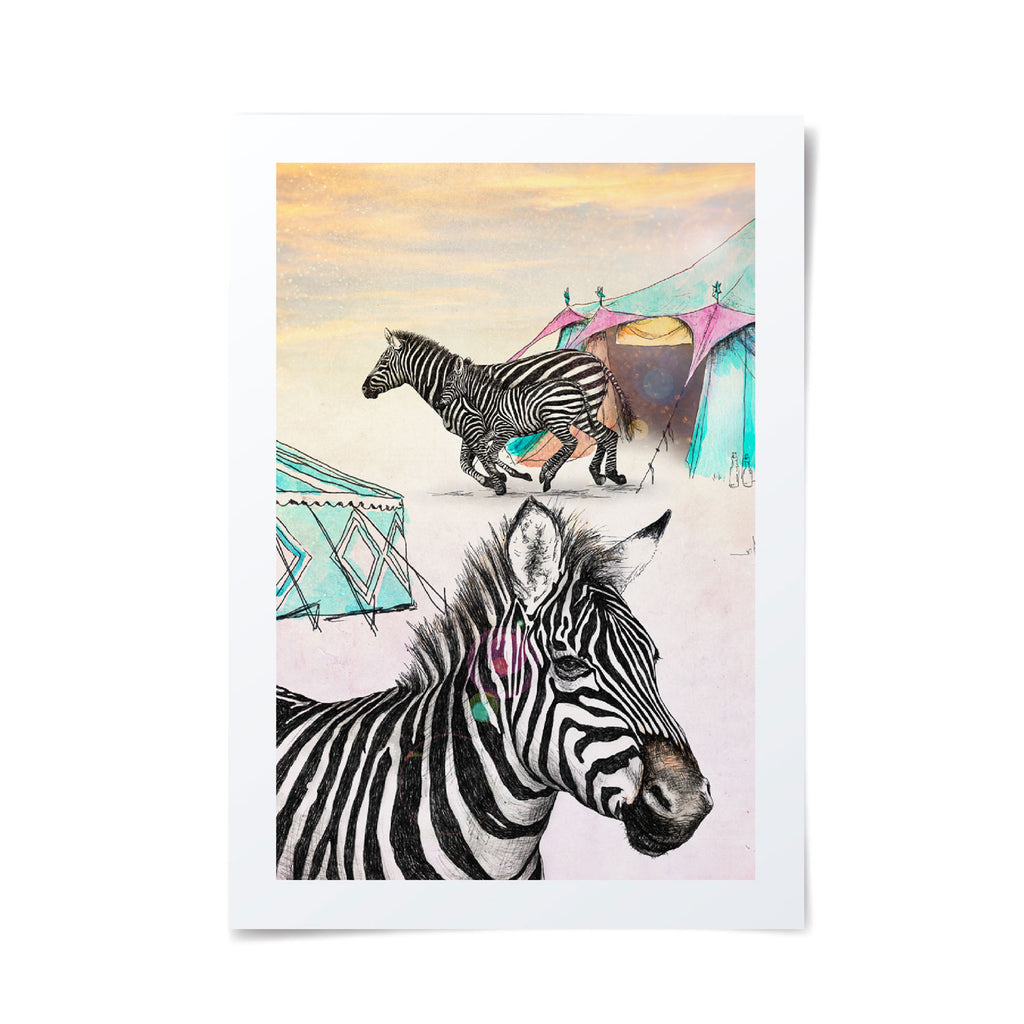 Hand drawn with pen, a colurful and whimsical design featuring two Zebras escaping circus tents.